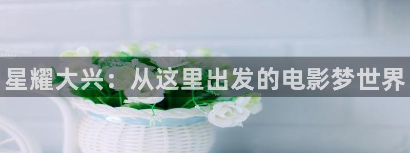 临沂保利国际影城：星耀大兴：从这里出发的电影梦世界