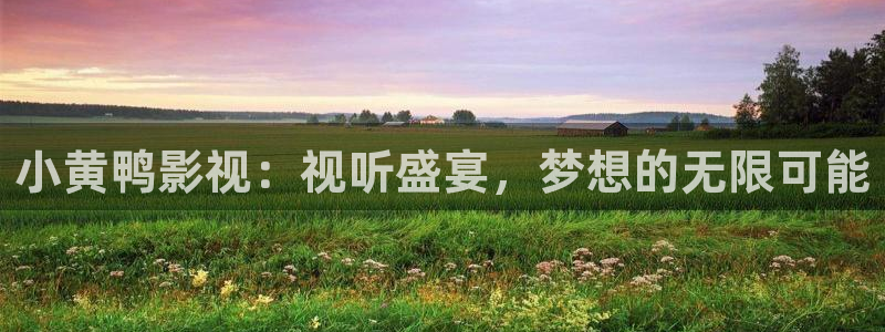 保利影业有限公司：小黄鸭影视：视听盛宴，梦想的无限可能