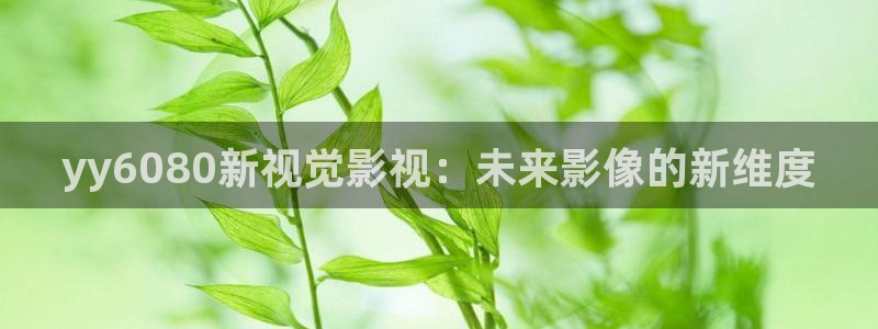龙旗广场保利影院：yy6080新视觉影视：未来影像的新维度