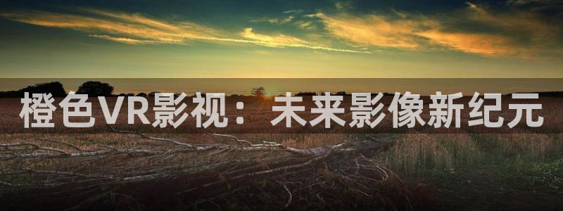 保利影城电影：橙色VR影视：未来影像新纪元