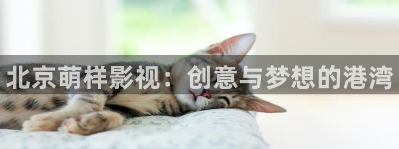 无锡保利国际影城：北京萌样影视：创意与梦想的港湾