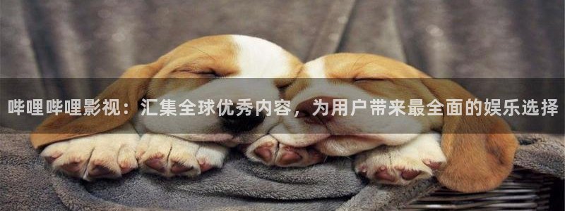 保利影城今日电影：哔哩哔哩影视：汇集全球优秀内容，为用户带来最全面的娱乐选择