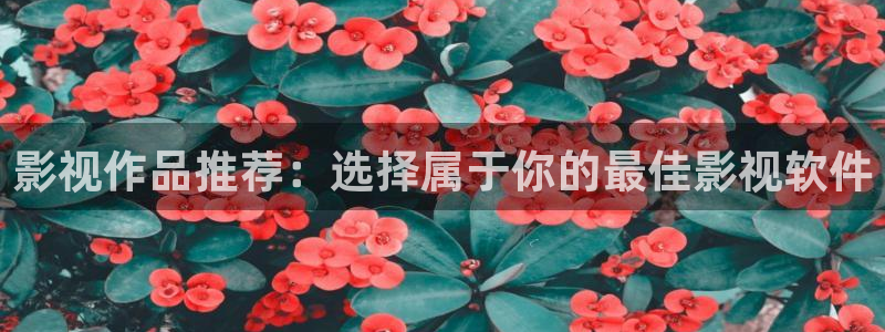 保利影业：影视作品推荐：选择属于你的最佳影视软件