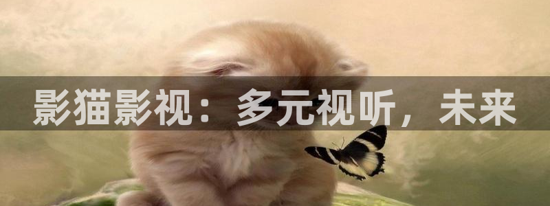 保利广场电影院：影猫影视：多元视听，未来